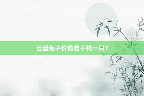 巨型兔子价钱若干钱一只？